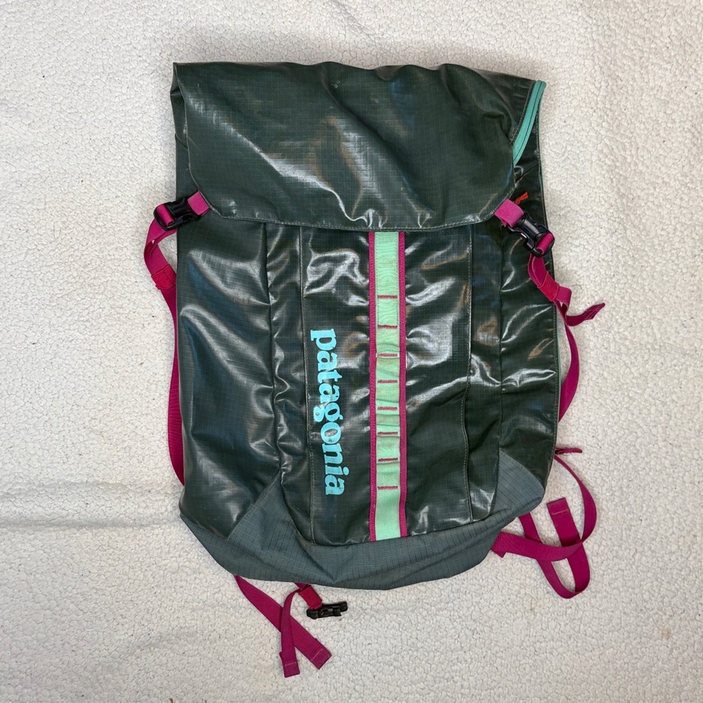 Patagonia Women's Dark Green Roll-Top Backpack with Pink Accents
